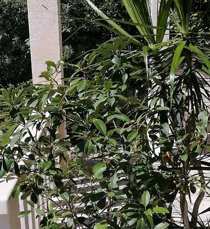In With Sea View, Terrace, Air Conditioning,wifi 3634-2