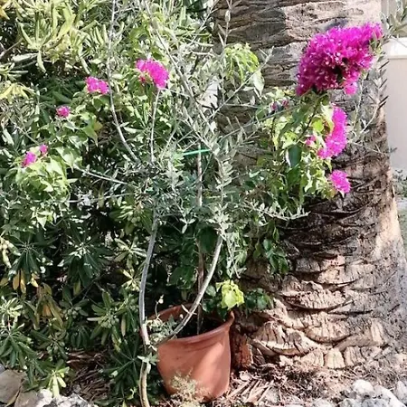 In With Sea View, Terrace, Air Conditioning,wifi 3634-2 Bol